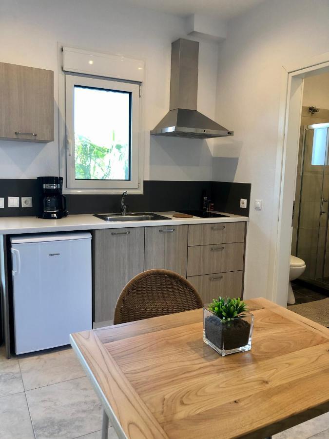 העיירה סקיאתוס Vanessa House Luxury Apartments מראה חיצוני תמונה