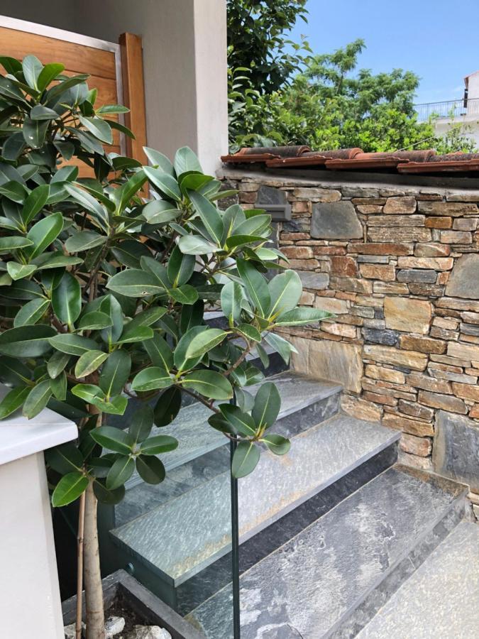 העיירה סקיאתוס Vanessa House Luxury Apartments מראה חיצוני תמונה